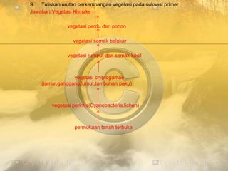 9. Tuliskan urutan perkembangan vegetasi pada suksesi primer
Jawaban:Vegetasi Klimaks
vegetasi perdu dan pohon
vegetasi semak belukar
vegetasi rumput dan semak kecil
vegetasi cryptogamae
(jamur,ganggang,lumut,tumbuhan paku)
vegetasi perintis(Cyanobacteria,lichen)
permukaan tanah terbuka
 