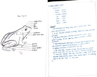 Pain Rana XI RECORD PART II.pdf