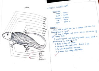 XI RECORD PART II.pdf