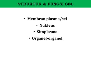 STRUKTUR & FUNGSI SEL


  • Membran plasma/sel
       • Nukleus
      • Sitoplasma
    • Organel-organel
 