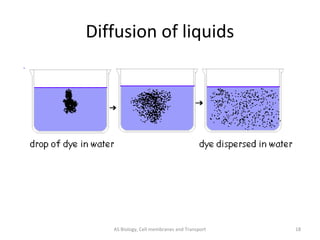 Diffusion of liquids




   AS Biology, Cell membranes and Transport   18
 