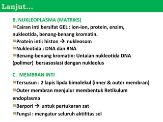Lanjut…
  B. NUKLEOPLASMA (MATRIKS)
    Cairan inti bersifat GEL : ion-ion, protein, enzim,
  nukleotida, benang-benang kromatin.
    Protein inti: histon  nukleosom
    Nukleotida : DNA dan RNA
    Benang-benang kromatin: Untaian nukleotida DNA
  (polimer) bersasosiasi dengan nukleolus

  C. MEMBRAN INTI
    Tersusun : 2 lapis lipda bimolekul (inner & outer membran)
    Outer membran menjulur membentuk Retikulum
  endoplasma
    Berpori  untuk pertukaran zat
    Fungsi : mengatur seluruh aktifitas sel
 