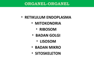 ORGANEL-ORGANEL


• RETIKULUM ENDOPLASMA
     • MITOKONDRIA
        • RIBOSOM
      • BADAN GOLGI
        • LISOSOM
     • BADAN MIKRO
     • SITOSKELETON
 