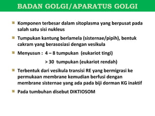BADAN GOLGI/APARATUS GOLGI

Komponen terbesar dalam sitoplasma yang berpusat pada
salah satu sisi nukleus
Tumpukan kantung berlamela (sisternae/pipih), bentuk
cakram yang berasosiasi dengan vesikula
Menyusun : 4 – 8 tumpukan (eukariot tingi)
            > 30 tumpukan (eukariot rendah)
Terbentuk dari vesikula transisi RE yang bermigrasi ke
permukaan membrane kemudian berfusi dengan
membrane sisternae yang ada pada biji dorman KG inaktif
Pada tumbuhan disebut DIKTIOSOM
 