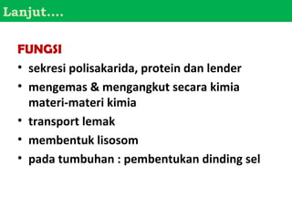 Lanjut….

 FUNGSI
 • sekresi polisakarida, protein dan lender
 • mengemas & mengangkut secara kimia
   materi-materi kimia
 • transport lemak
 • membentuk lisosom
 • pada tumbuhan : pembentukan dinding sel
 