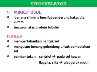 SITOSKELETON
    1.   MIKROTUBUL
          benang silindris bersifat cenderung kaku, dia.
         20mm
         tersusun atas protein tubulin

    FUNGSI
         mempertahankan bentuk sel
         menyusun benang gelendong untuk pembelahan
         sel
         pembentukan : sentriol  pada sel hewan
                         flagella, silia  alat gerak motil
•
 