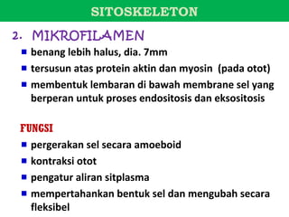 SITOSKELETON
2. MIKROFILAMEN
   benang lebih halus, dia. 7mm
   tersusun atas protein aktin dan myosin (pada otot)
   membentuk lembaran di bawah membrane sel yang
   berperan untuk proses endositosis dan eksositosis

 FUNGSI
   pergerakan sel secara amoeboid
   kontraksi otot
   pengatur aliran sitplasma
   mempertahankan bentuk sel dan mengubah secara
   fleksibel
 