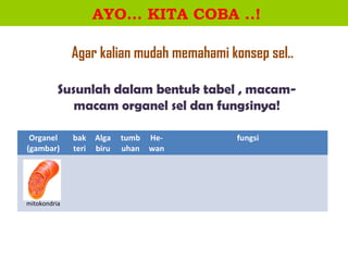 AYO… KITA COBA ..!

              Agar kalian mudah memahami konsep sel..

          Susunlah dalam bentuk tabel , macam-
             macam organel sel dan fungsinya!

 Organel      bak    Alga   tumb He-       fungsi
(gambar)      teri   biru   uhan wan




mitokondria
 
