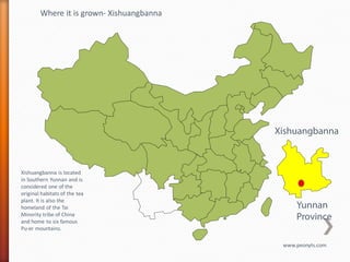Where it is grown- Xishuangbanna




                                           Xishuangbanna



Xishuangbanna is located
in Southern Yunnan and is
considered one of the
original habitats of the tea
plant. It is also the
homeland of the Tai                             Yunnan
Minority tribe of China
and home to six famous
                                                Province
Pu-er mountains.

                                            www.peonyts.com
 