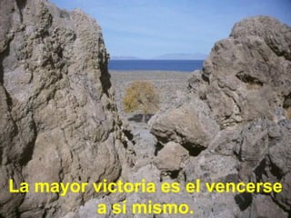 La mayor victoria es el vencerse a sí mismo.
