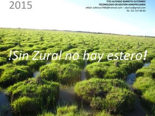 2015
TITO ALFONSO BARRETO GUTIERREZ
TECONOLOGO EN GESTIÓN AGROPECUARIA
eMail: talfonso7486@hotmail.com – ahyrico@gmail.com
Tel. 311 527 86 83
!Sin Zural no hay estero!
 