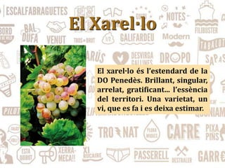 El xarel·lo és l’estendard de la
DO Penedès. Brillant, singular,
arrelat, gratificant... l’essència
del territori. Una varietat, un
vi, que es fa i es deixa estimar.
El Xarel·lo
 
