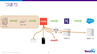 つまり
Copyright © TerraSky Co., Ltd. All Rights Reserved. 10
AnyAPI
ブローカー
デバイス
永続化DB 業務データ
 
