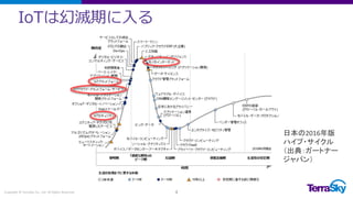 IoTは幻滅期に入る
Copyright © TerraSky Co., Ltd. All Rights Reserved. 4
日本の2016年版
ハイプ・サイクル
（出典：ガートナー
ジャパン）
 