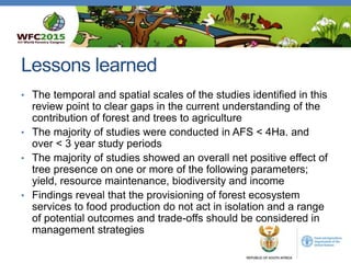 Role of agroforestry and trees outside forests in integrated land use 