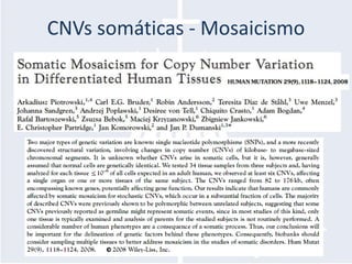 CNVs somáticas - Mosaicismo
 