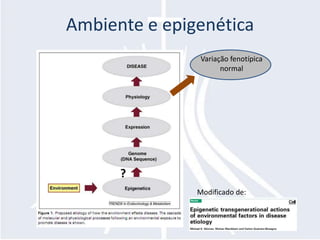 Ambiente e epigenética
                Variação fenotípica
                      normal




      ?
               Modificado de:
 