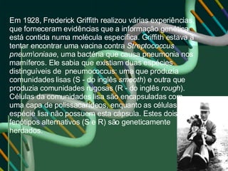 Em 1928, Frederick Griffith realizou várias experiências, que forneceram evidências que a informação genética está contida numa molécula específica. Griffith estava a tentar encontrar uma vacina contra  Streptococcus pneum\oniaae , uma bactéria que causa pneumonia nos mamíferos. Ele sabia que existiam duas espécies distinguíveis de  pneumococcus: uma que produzia comunidades lisas (S - do inglês  smooth ) e outra que produzia comunidades rugosas (R - do inglês  rough ). Células da comunidades lisa são encapsuladas com uma capa de polissacarídeos, enquanto as células da espécie lisa não possuem esta cápsula. Estes dois fenótipos alternativos (S e R) são geneticamente herdados. 