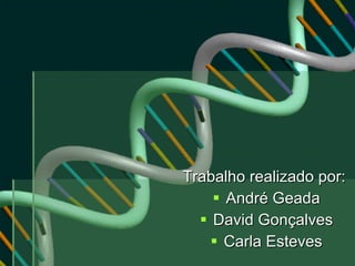Trabalho realizado por:  André Geada David Gonçalves Carla Esteves 