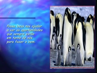 Possa Deus nos ajudarPossa Deus nos ajudar
a ver as oportunidadesa ver as oportunidades
que sempre estãoque sempre estão
em torno de nós em torno de nós 
para fazer o bem.para fazer o bem.
 
 