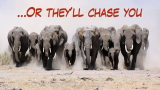 …Or they’ll chase you
 