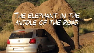 The elephant in the
middle of the road
 