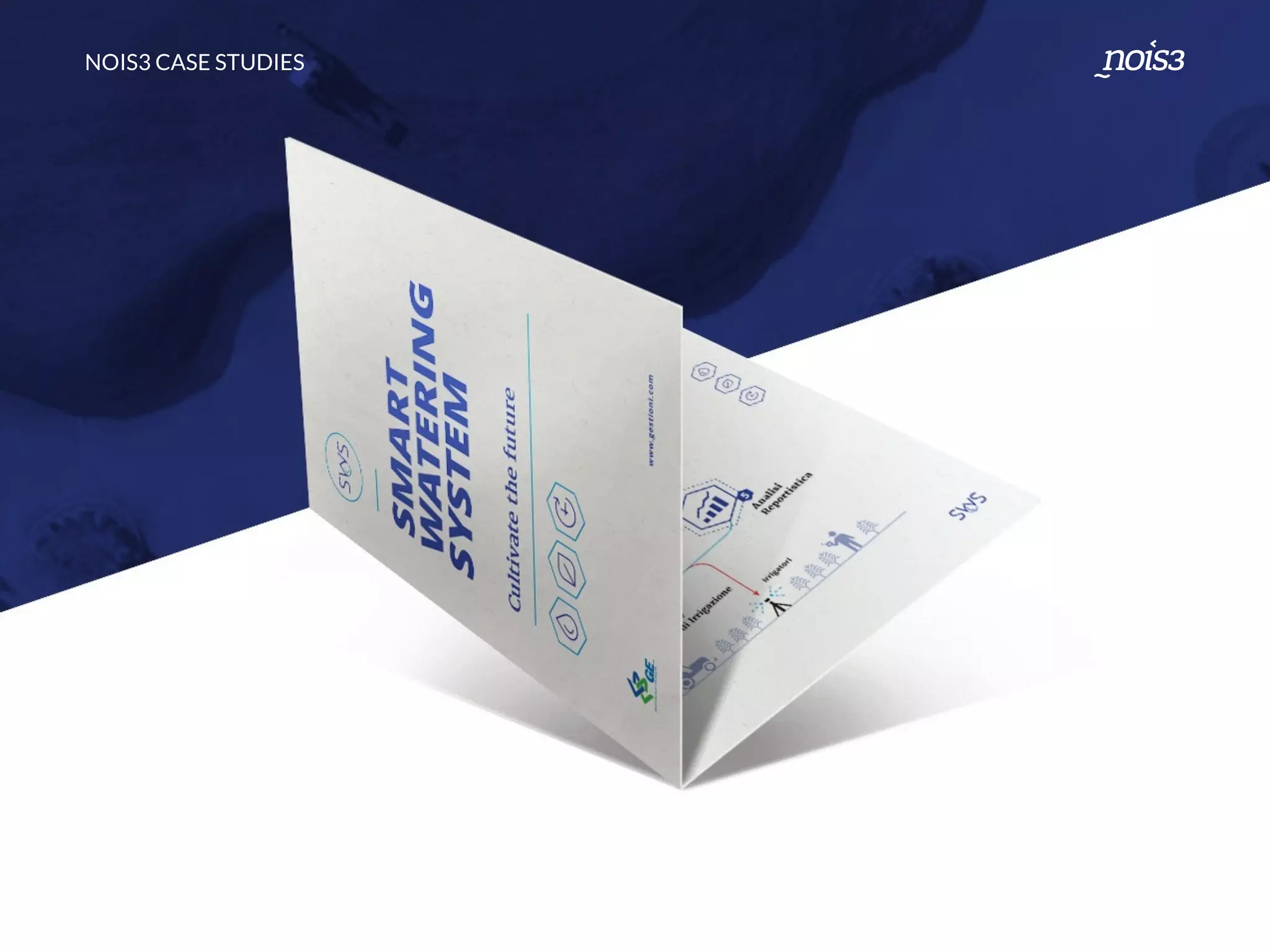 NOIS3 CASE STUDIES
 