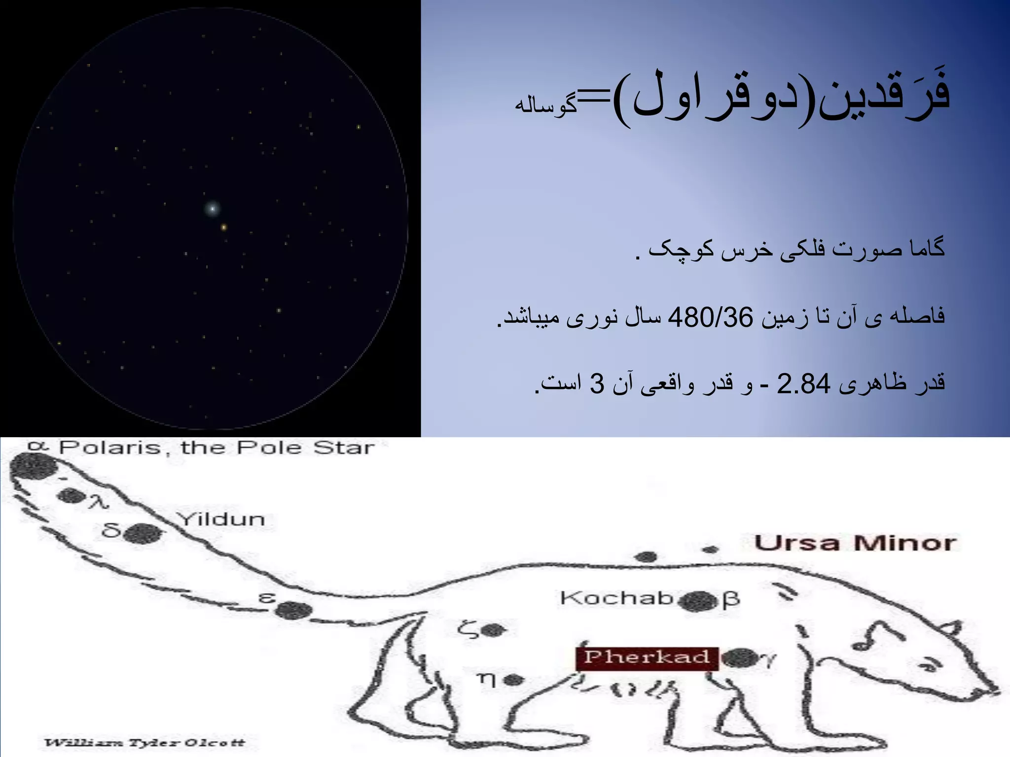 ‫قدین‬َ‫ر‬َ‫ف‬(‫دوقراول‬=)‫گوساله‬
‫کوچک‬ ‫خرس‬ ‫فلکی‬ ‫صورت‬ ‫گاما‬.
‫زمین‬ ‫تا‬ ‫آن‬ ‫ی‬ ‫فاصله‬480/36‫میباشد‬ ‫نوری‬ ‫سال‬.
‫ظاهری‬ ‫قدر‬2.84-‫آن‬ ‫واقعی‬ ‫قدر‬ ‫و‬3‫است‬.
 