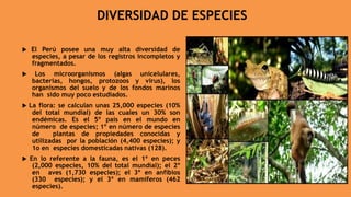 DIVERSIDAD DE ESPECIES
 El Perú posee una muy alta diversidad de
especies, a pesar de los registros incompletos y
fragmentados.
 Los microorganismos (algas unicelulares,
bacterias, hongos, protozoos y virus), los
organismos del suelo y de los fondos marinos
han sido muy poco estudiados.
 La flora: se calculan unas 25,000 especies (10%
del total mundial) de las cuales un 30% son
endémicas. Es el 5º país en el mundo en
número de especies; 1º en número de especies
de plantas de propiedades conocidas y
utilizadas por la población (4,400 especies); y
1o en especies domesticadas nativas (128).
 En lo referente a la fauna, es el 1º en peces
(2,000 especies, 10% del total mundial); el 2º
en aves (1,730 especies); el 3º en anfibios
(330 especies); y el 3º en mamíferos (462
especies).
 