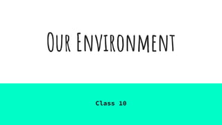 Our Environment
Class 10
 