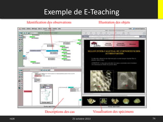 Exemple de E-Teaching
74HDR 25 octobre 2013
Illustration des objetsIdentification des observations
Descriptions des cas Visualisation des spécimens
 