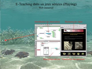 Illustration des objetsIdentification des observations
Descriptions des cas Visualisation des spécimens
75HDR 25 octobre 2013
E-Teaching dans un jeux sérieux (Playing)
Web immersif
 