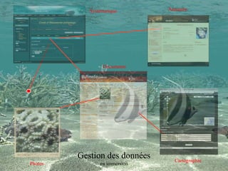 Gestion des données
en immersion
AnnuaireSystématique
Documents
Cartographie
Photos
 