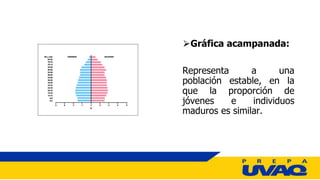 ⮚Gráfica acampanada:
Representa a una
población estable, en la
que la proporción de
jóvenes e individuos
maduros es similar.
 