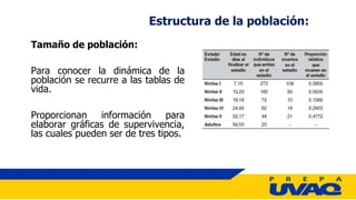Tamaño de población:
Para conocer la dinámica de la
población se recurre a las tablas de
vida.
Proporcionan información para
elaborar gráficas de supervivencia,
las cuales pueden ser de tres tipos.
Estructura de la población:
 