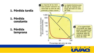 1. Pérdida tardía
1. Pérdida
constante
1. Pérdida
temprana
 