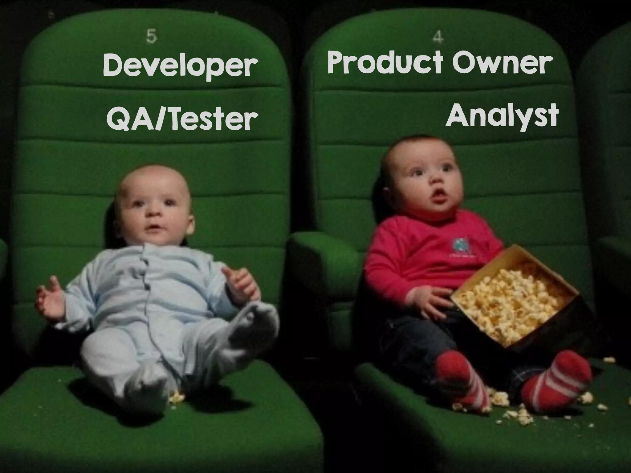 Developer
QA/Tester
Product Owner
Analyst
 