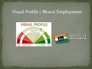 Visual Profile | Bharat Employment
 