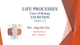 LIFE PROCESSES
Class 10 Biology
EXCRETION
PART 2/3
Mrs. Angelika Sen
TGT (Bio/Chem)
AECS -5 Mumbai
 