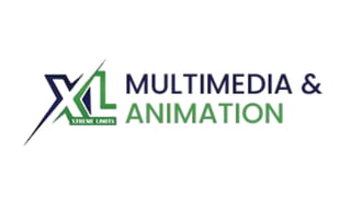 XL Multimedia and Institute presentation