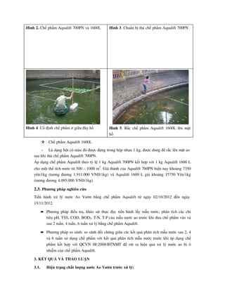 Hình 2. Chế phẩm Aqualift 700PN và 1600L Hình 3. Chuẩn bị thả chế phẩm Aqualift 700PN
Hình 4. Cố định chế phẩm ở giữa đáy hồ Hình 5. Rắc chế phẩm Aqualift 1600L lên mặt
hồ
Chế phẩm Aqualift 1600L
- Là dạng bột có màu đỏ được đựng trong hộp nhựa 1 kg, được dung để rắc lên mặt ao
sau khi thả chế phẩm Aqualift 700PN.
Áp dụng chế phẩm Aqualift theo tỷ lệ 1 kg Aqualift 700PN kết hợp với 1 kg Aqualift 1600 L
cho một thể tích nước từ 500 – 1000 m3
. Giá thành của Aqualift 700PN hiện nay khoảng 7350
yên/1kg (tương đương 1.911.000 VNĐ/1kg) và Aqualift 1600 L giá khoảng 15750 Yên/1kg
(tương đương 4.095.000 VNĐ/1kg).
2.3. Phương pháp nghiên cứu
Tiến hành xử lý nước Ao Vườn bằng chế phẩm Aqualift từ ngày 02/10/2012 đến ngày
15/11/2012.
• Phương pháp điều tra, khảo sát thực địa: tiến hành lấy mẫu nước, phân tích các chỉ
tiêu pH, TSS, COD, BOD5, T-N, T-P của mẫu nước ao trước khi đưa chế phẩm vào và
sau 2 tuần, 4 tuần, 6 tuần xử lý bằng chế phẩm Aqualift.
• Phương pháp so sánh: so sánh đối chứng giữa các kết quả phân tích mẫu nước sau 2, 4
và 6 tuần sử dụng chế phẩm với kết quả phân tích mẫu nước trước khi áp dụng chế
phẩm kết hợp với QCVN 08:2008/BTNMT để rút ra hiệu quả xử lý nước ao bị ô
nhiễm của chế phẩm Aqualift.
3. KẾT QUẢ VÀ THẢO LUẬN
3.1. Hiện trạng chất lượng nước Ao Vườn trước xử lý:
 