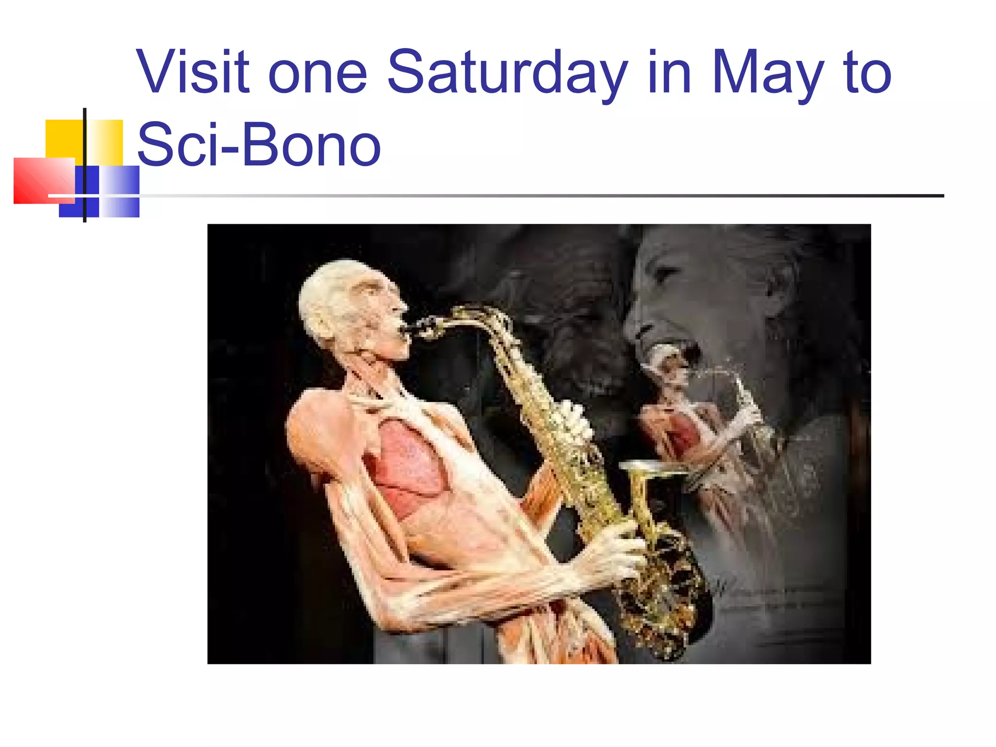 Visit one Saturday in May to
Sci-Bono
 