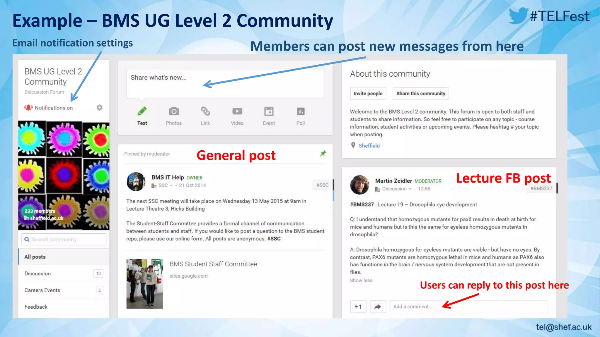 Example – BMS UG Level 2 Community
General post
Users can reply to this post here
Lecture FB post
Members can post new messages from hereEmail notification settings
 