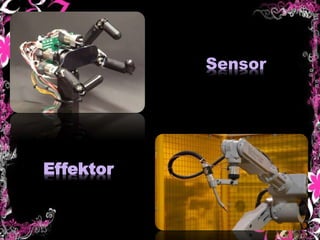 Sensor
Effektor
 