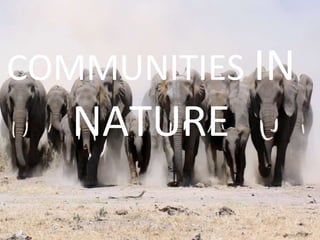 COMMUNITIES IN
NATURE
 