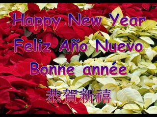 Merry Christmas and Happy New Year 2013