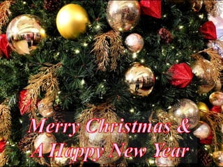 Merry Christmas and Happy New Year 2013
