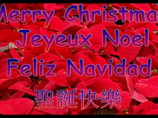 Merry Christmas and Happy New Year 2013