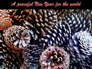 Merry Christmas and Happy New Year 2013