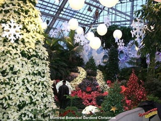Montréal Botanical Gardens Christmas 